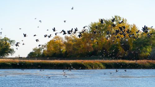 51632463077_cc73762d62_k