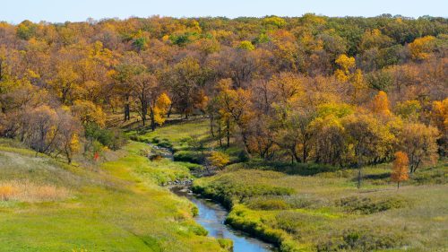 51632799967_fb86f58607_k