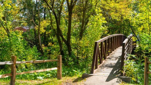 51633309356_7ddef1505f_k