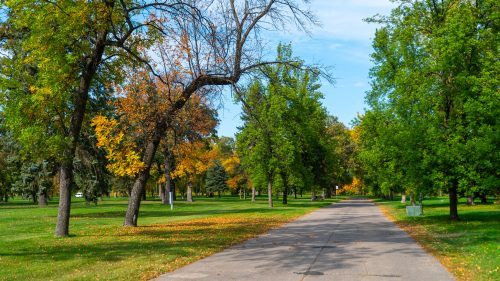 51633416133_ca6eccc096_k