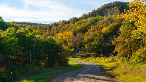 51633574773_b1fbab4fb0_k